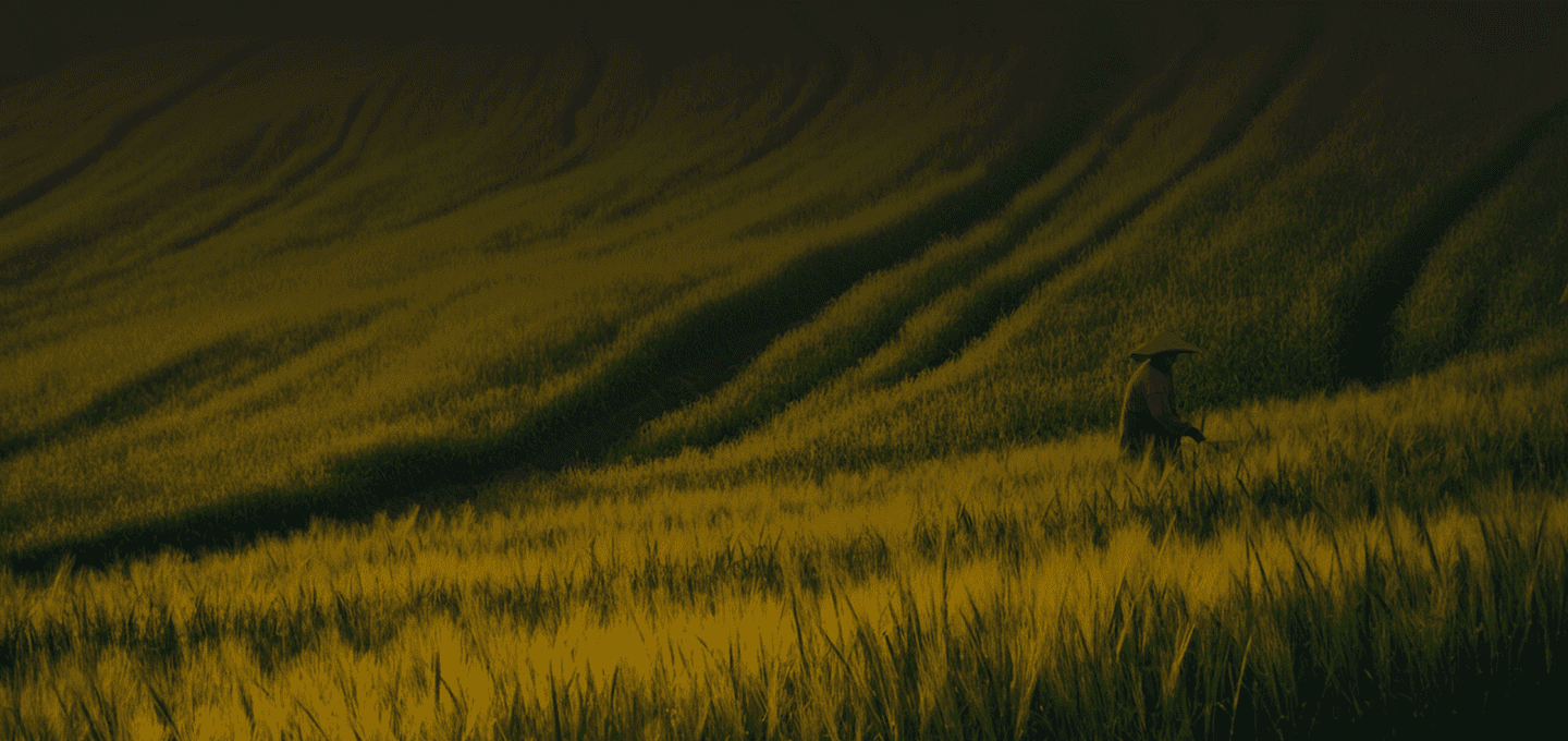 Image without alt